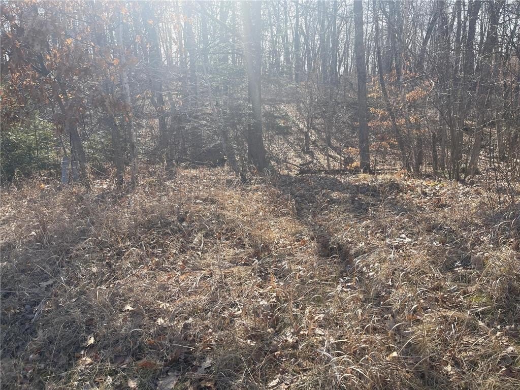 Picture 14
