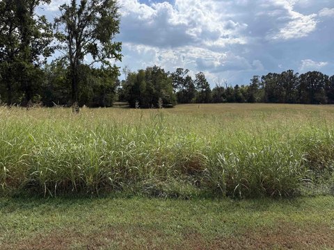 Land, Adamsville, TN