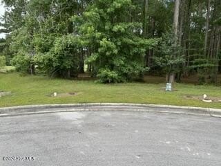 Picture 2