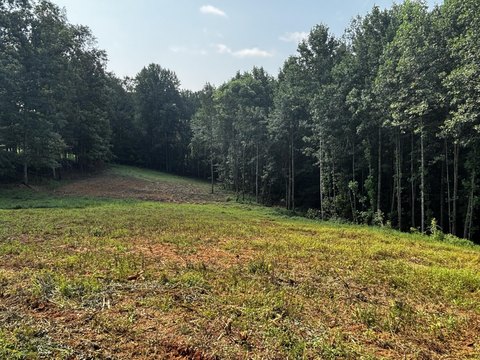 LAND - Albany, KY