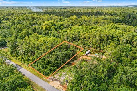 Land - WEBSTER, FL