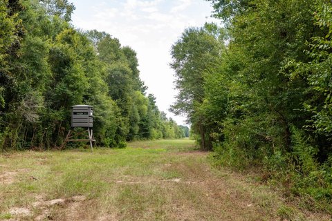 Hunting Land with Camp