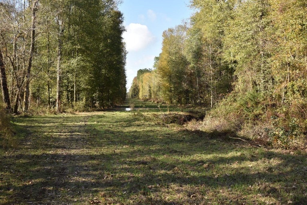 Picture 13
