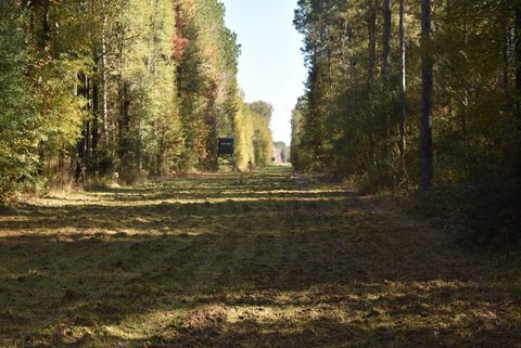 Hunting Recreation Land with Camp