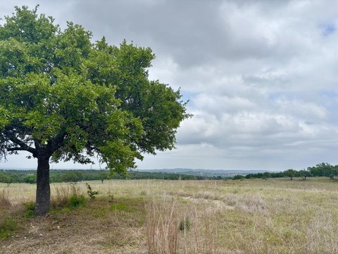 Land, Stonewall, TX