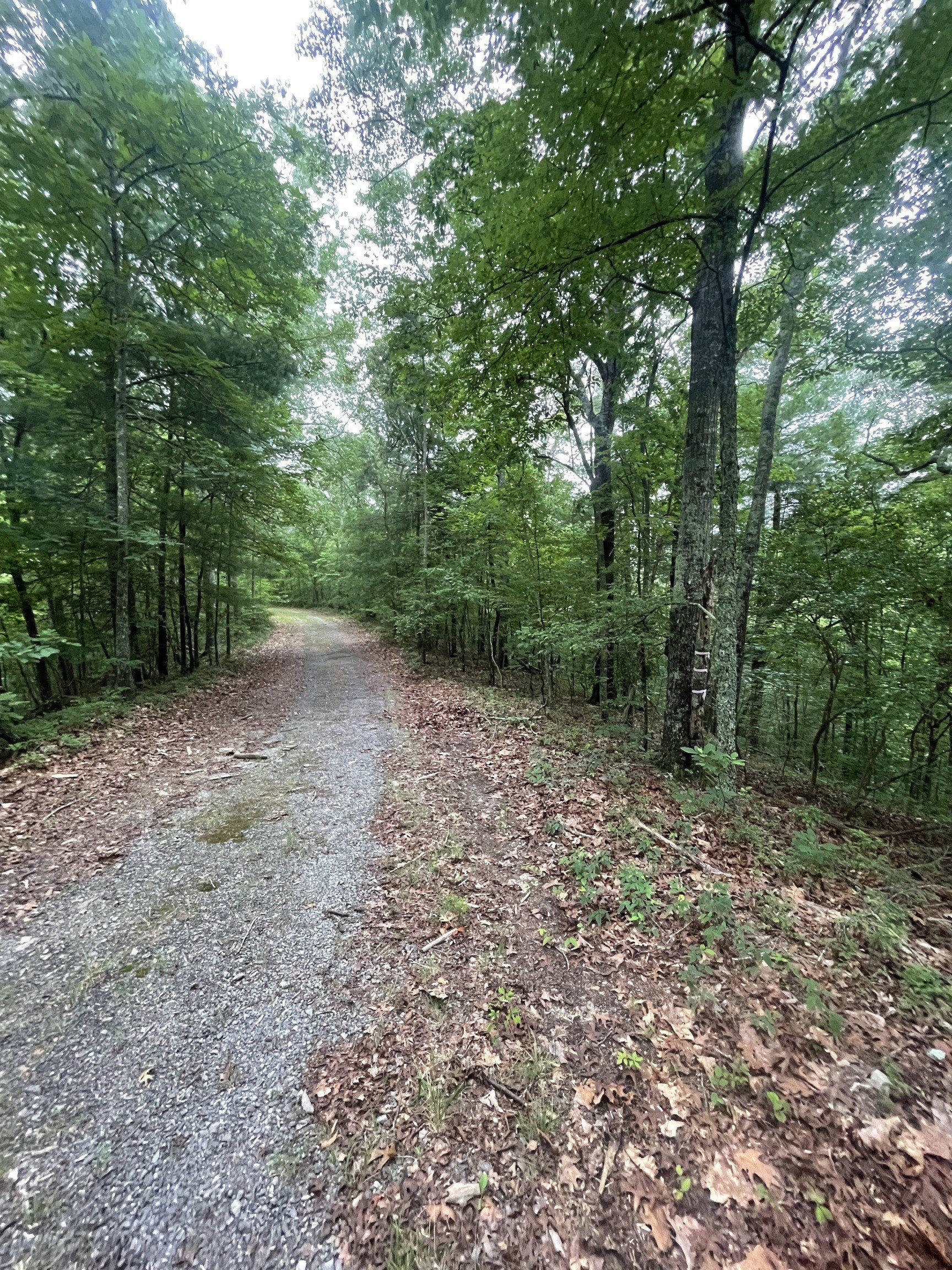 Ranger, GA Secluded Land
