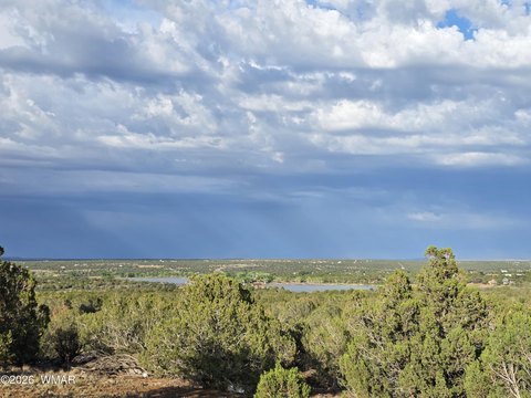 LAND - Show Low, AZ