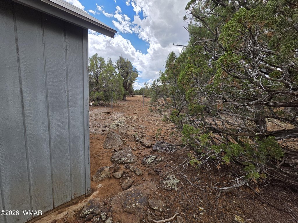 Picture 6