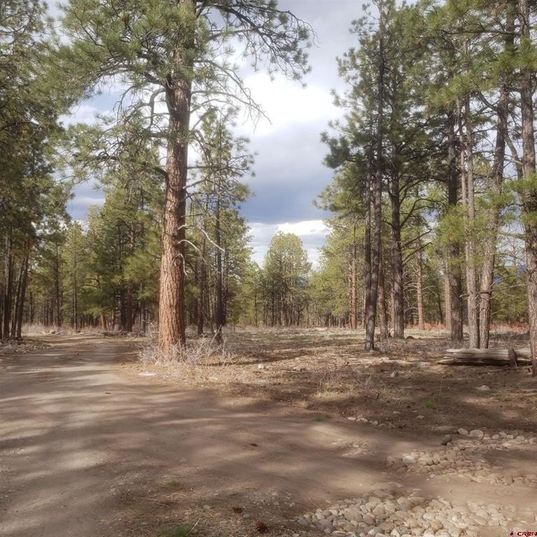 80 Acres of Montrose Land