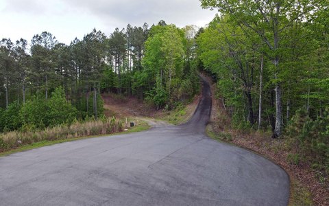 Blairsville, GA Lake Access Lot