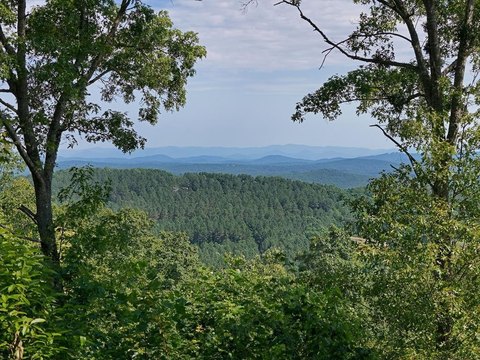 Blairsville, GA Lake Access Lot