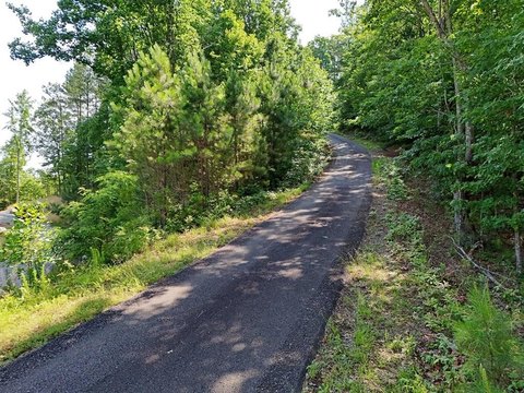 Blairsville, GA Lake Access Lot