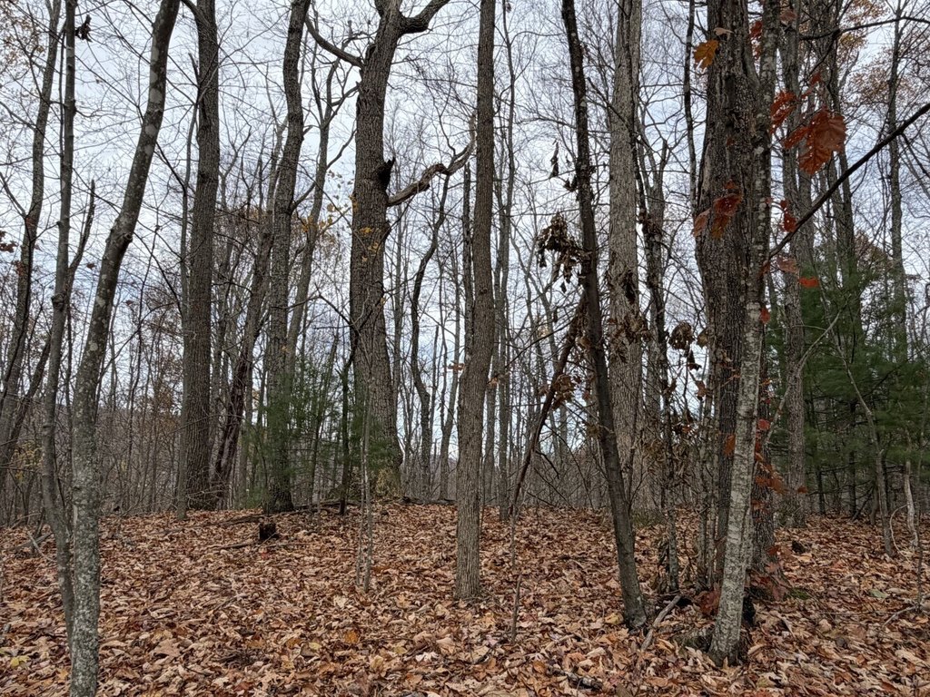 Picture 9
