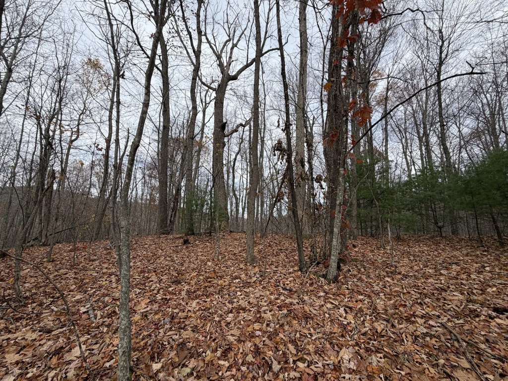 Picture 10