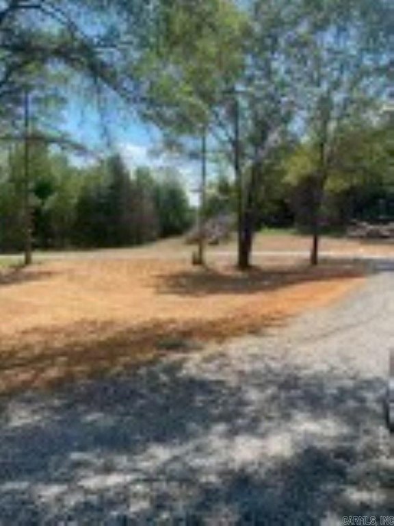 Picture 11