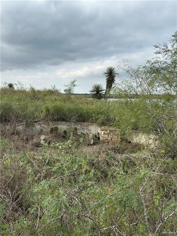 Rio Hondo Wildlife Retreat Land