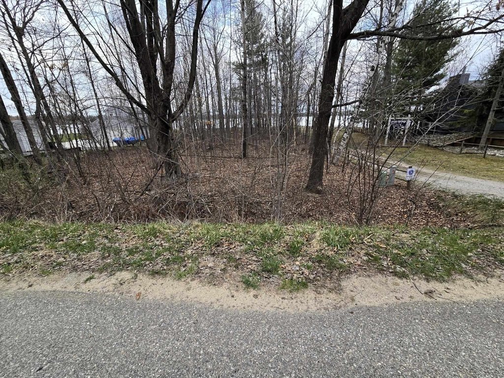Picture 17
