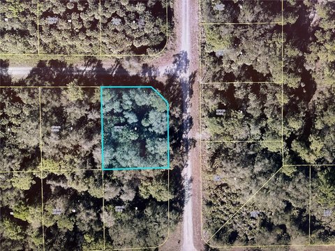 Land, LEHIGH ACRES, FL