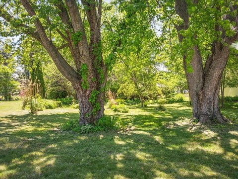 Rockford Land in Established Neighborhood