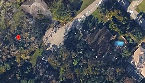 Wooded Lot in Palm Coast