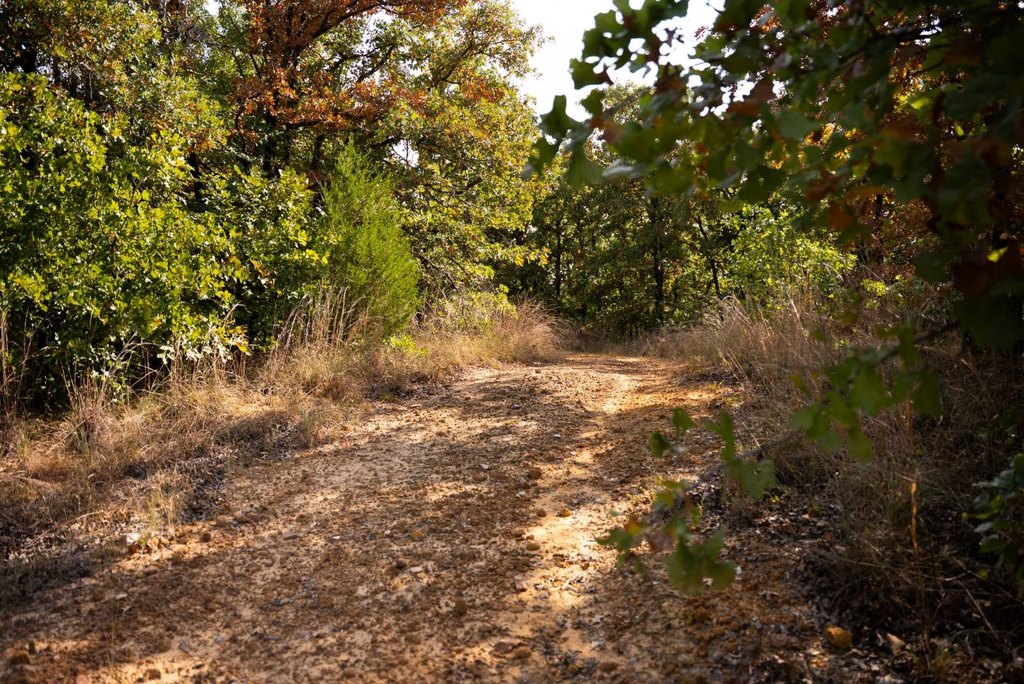 Picture 9