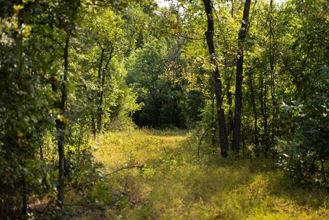 LAND - Wilson, OK