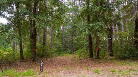 Daufuskie Island Homesite with Views
