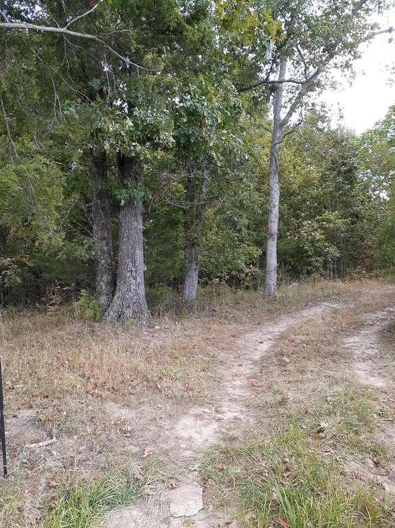 Picture 3