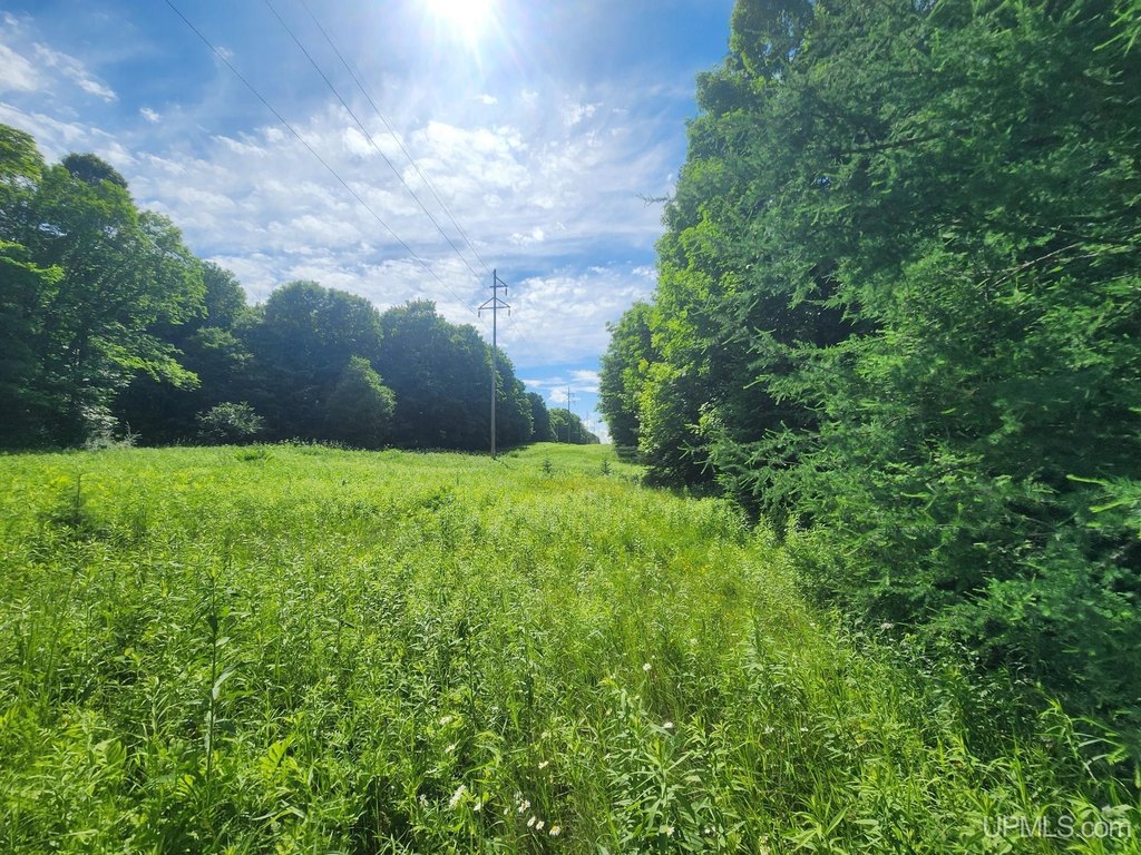 Picture 25
