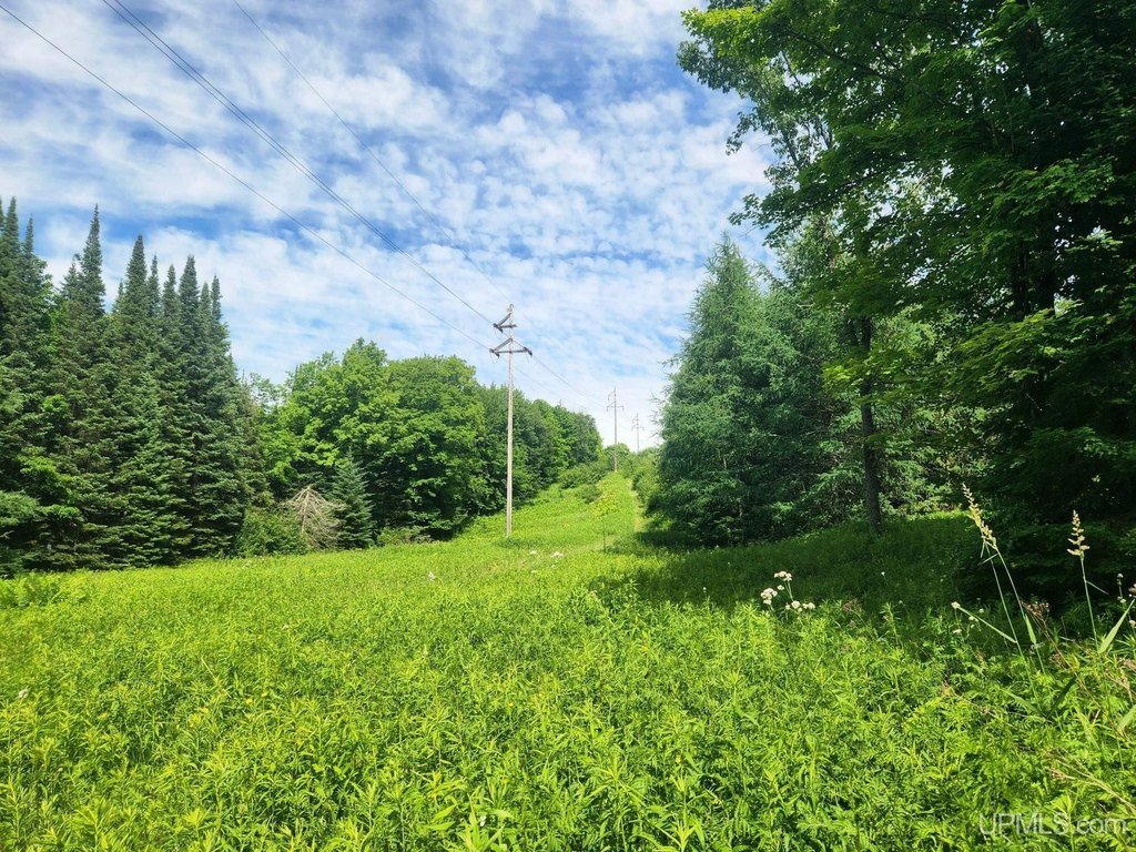 Picture 21
