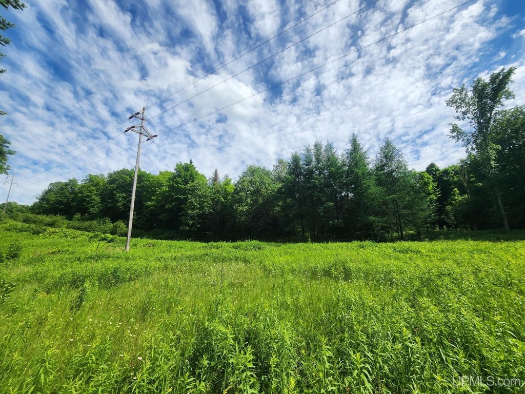 Picture 24