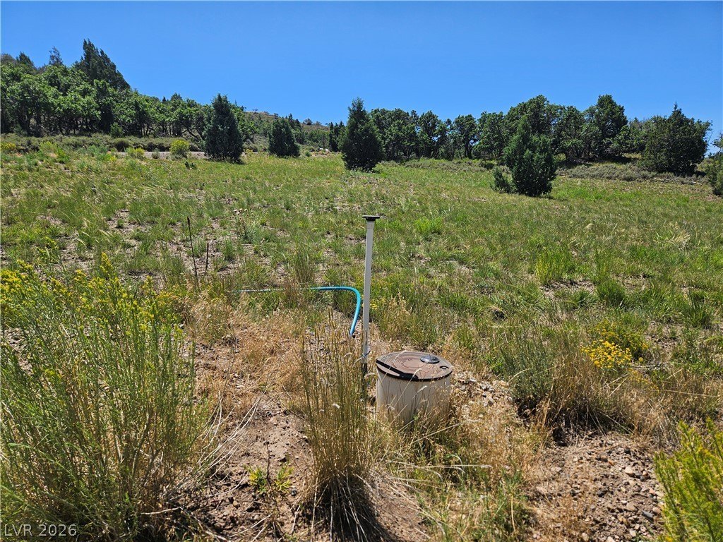 Picture 36