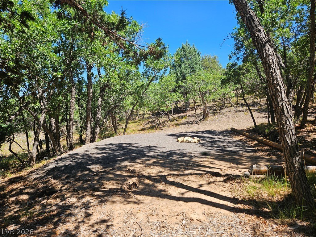 Picture 30
