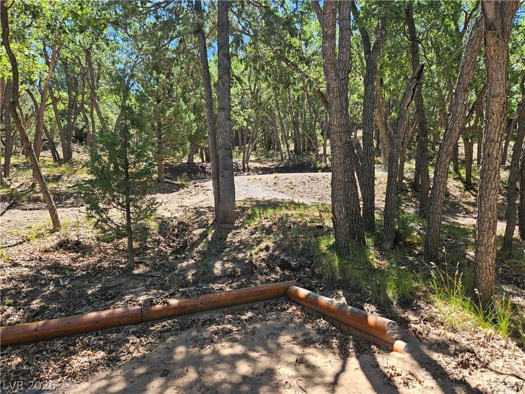 Picture 27