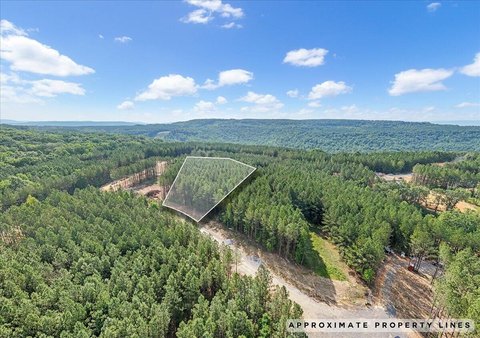 Wooded Lot in Gated Community