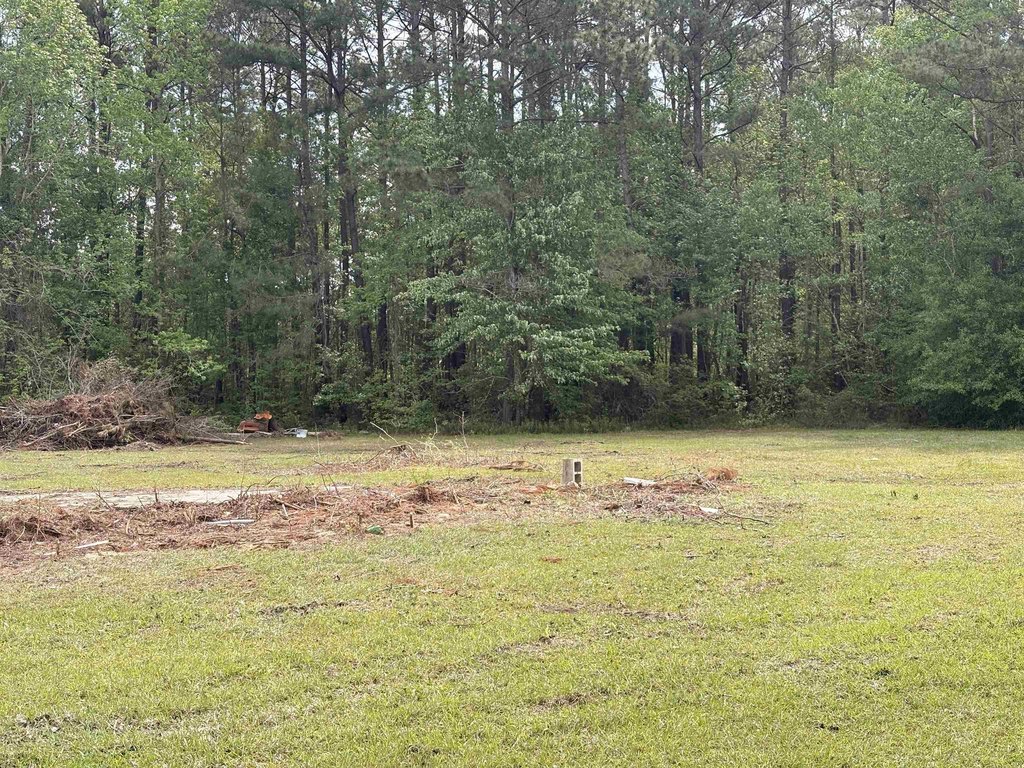 Picture 4