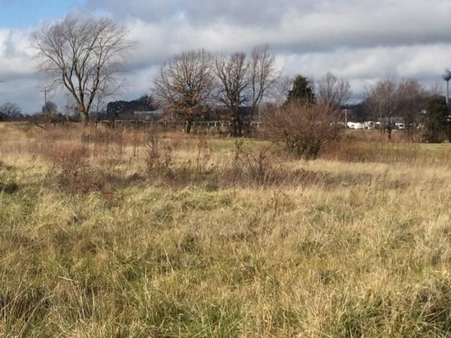 Picture 13