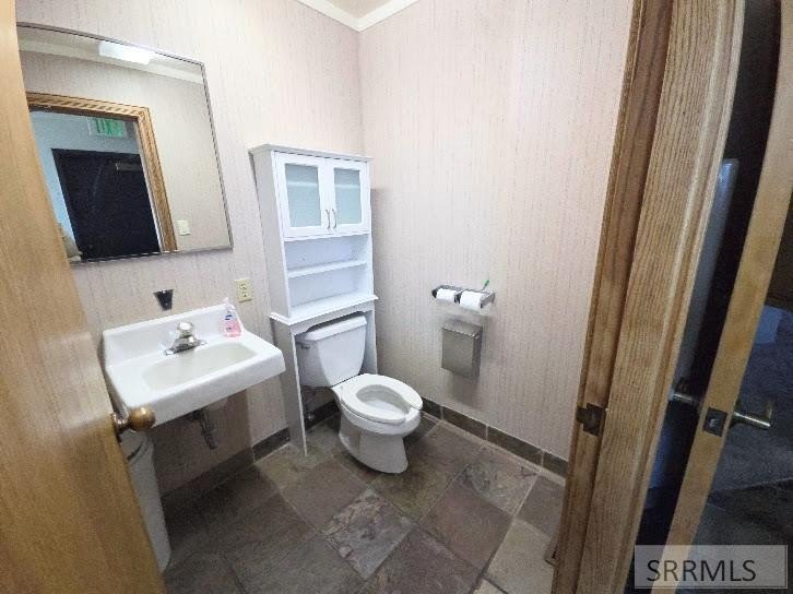 Picture 25