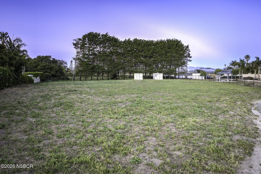 Picture 25