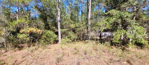 Citrus Springs Vacant Residential Land
