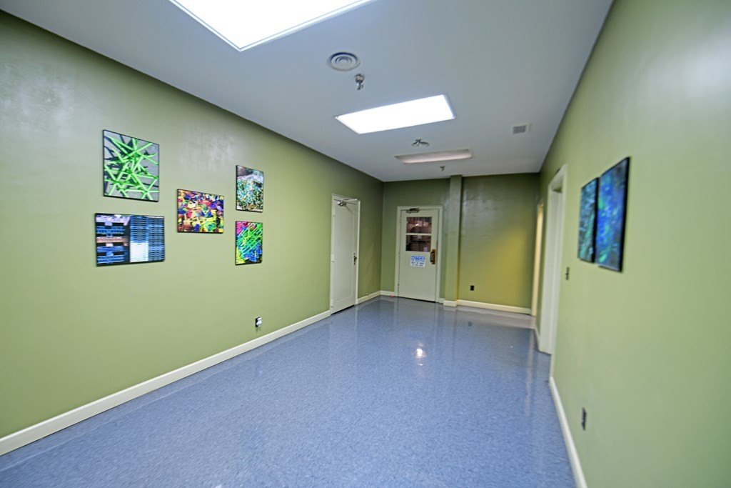 Picture 46