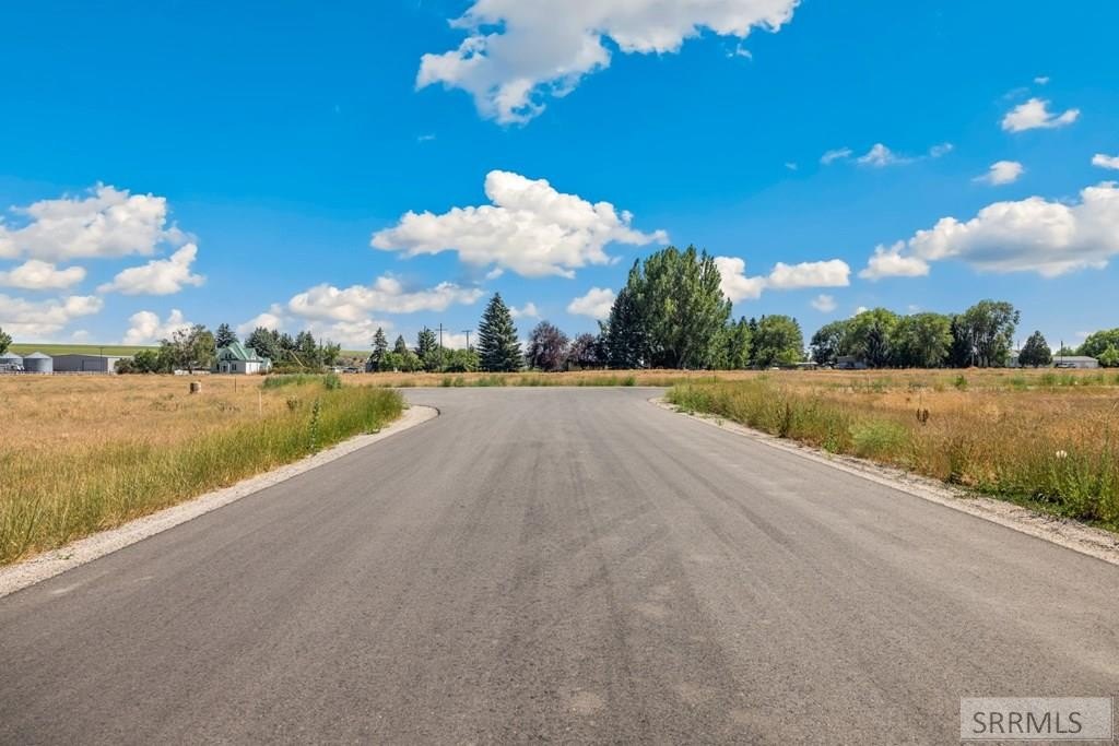 Picture 13