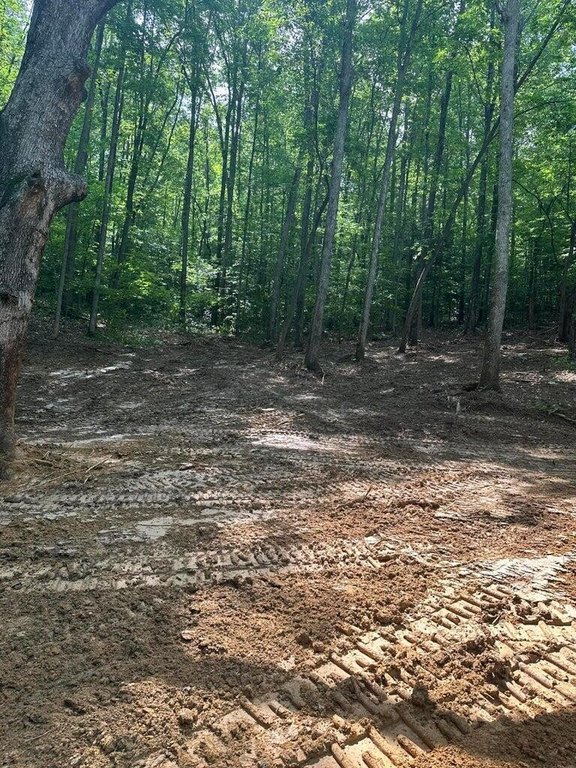 Picture 3