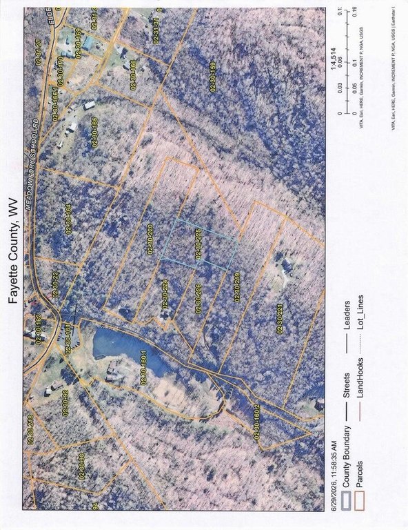 Picture 9