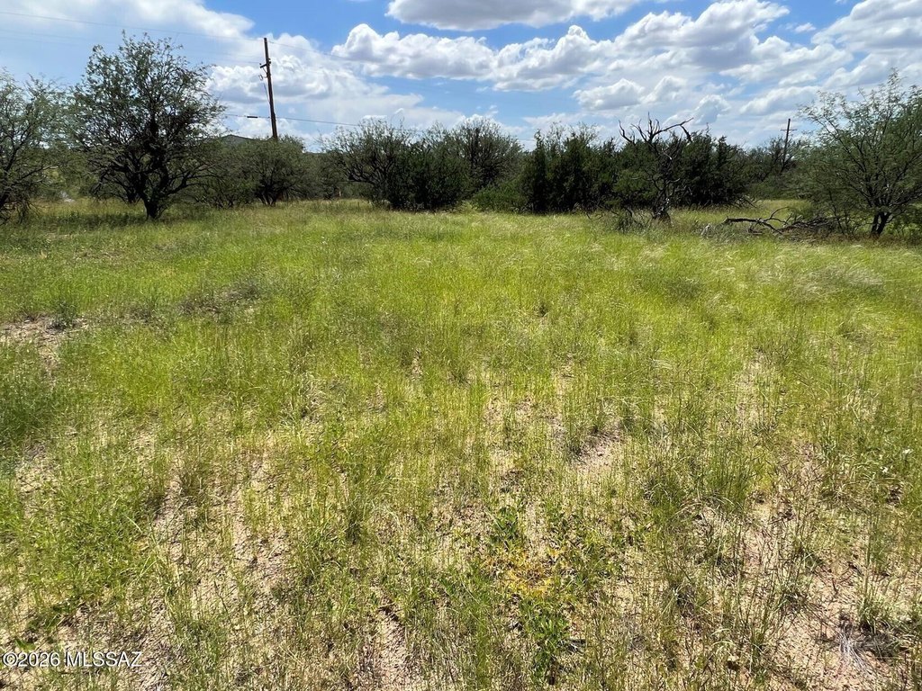 Picture 22
