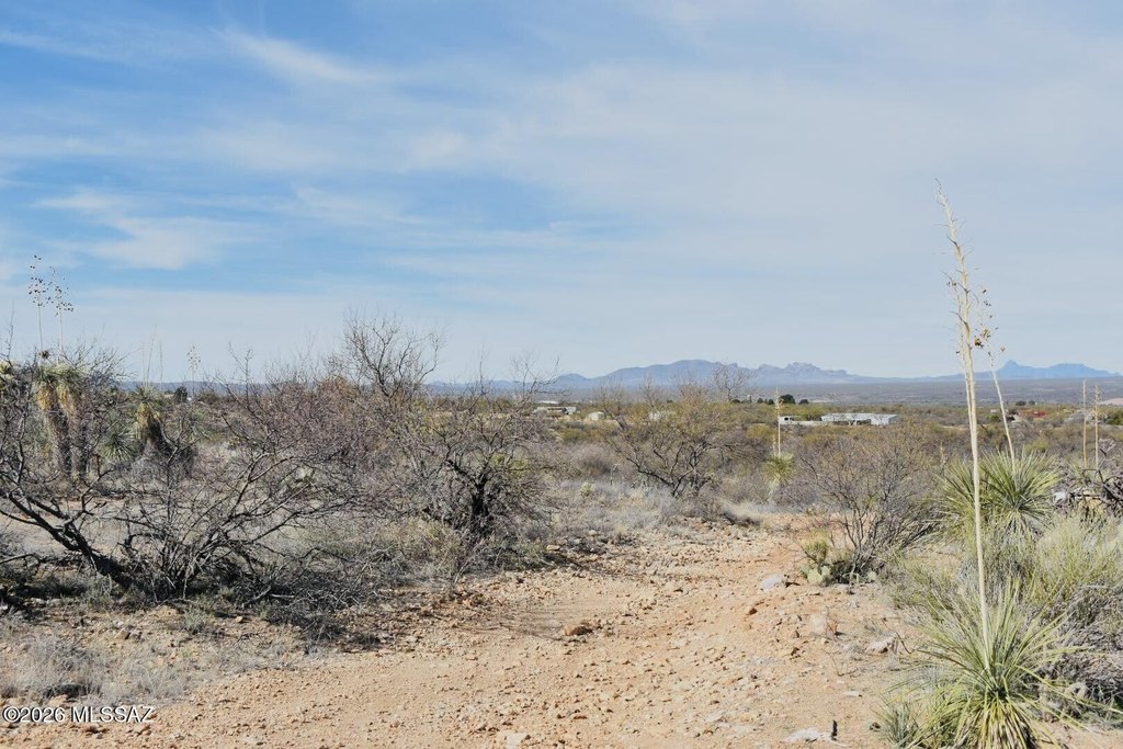 Picture 17