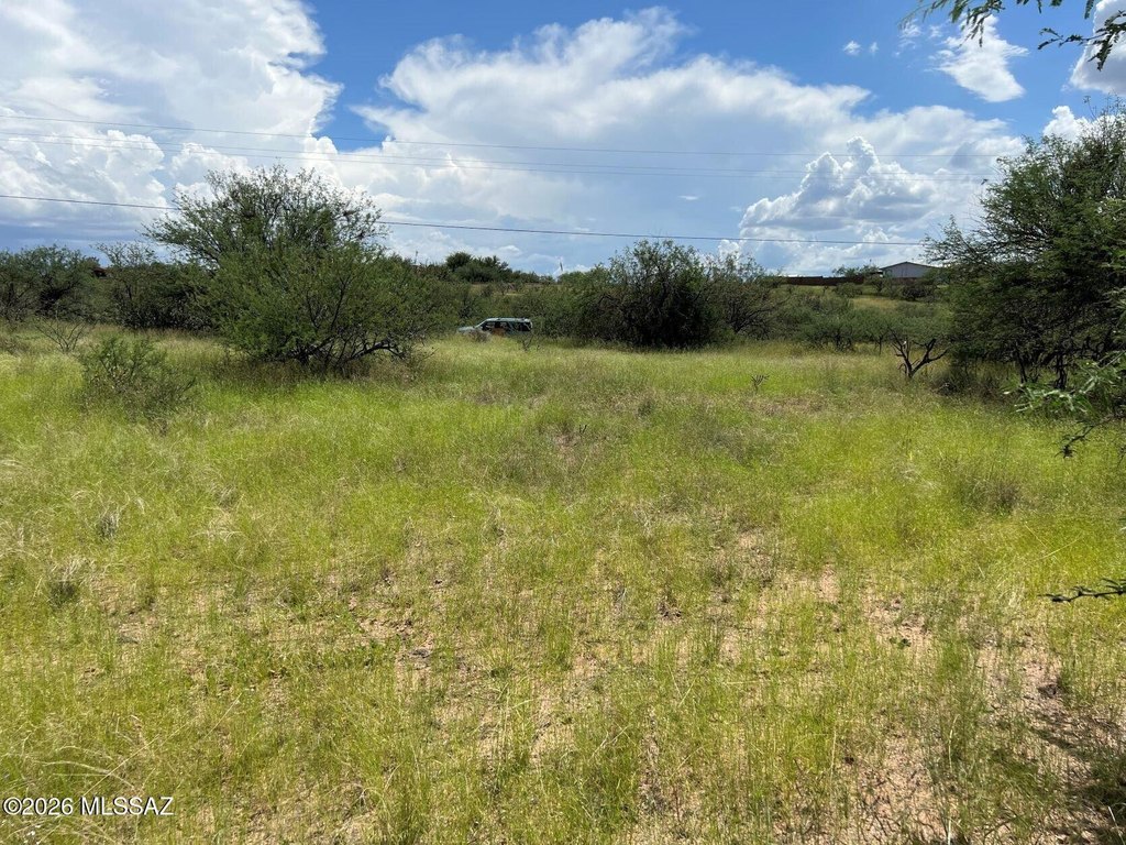 Picture 23