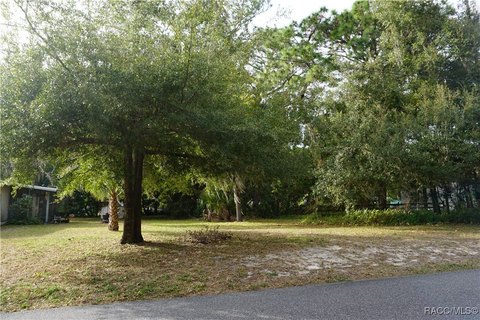Land, Crystal River, FL
