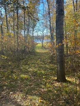 Lakeshore Land Lot