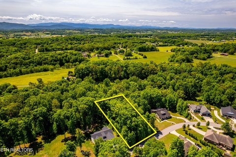 Wooded Lot in Greenback, TN